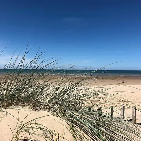 Plage, Superbe Confort * カレー